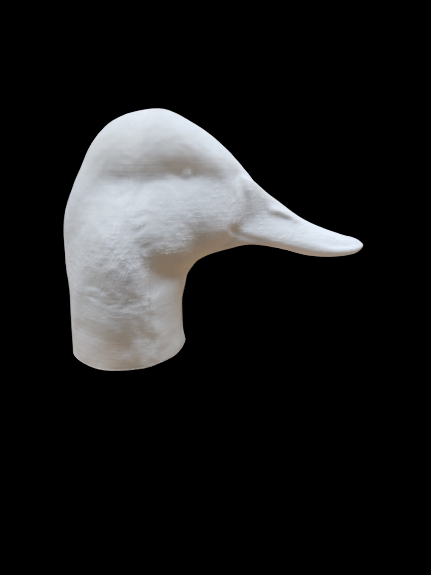 CANVASBACK HEAD HIGH