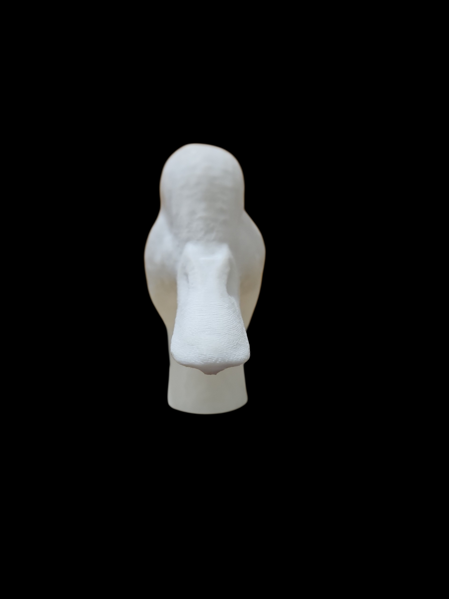 PINTAIL DECOY HIGH HEAD