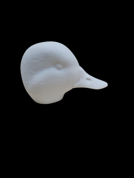 GREEN WING TEAL RELAXED HEAD