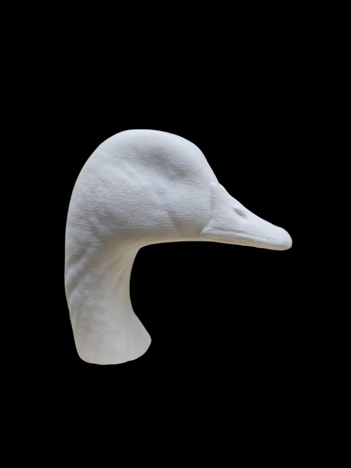 LARGE CANADA HONKER HEAD UPRIGHT
