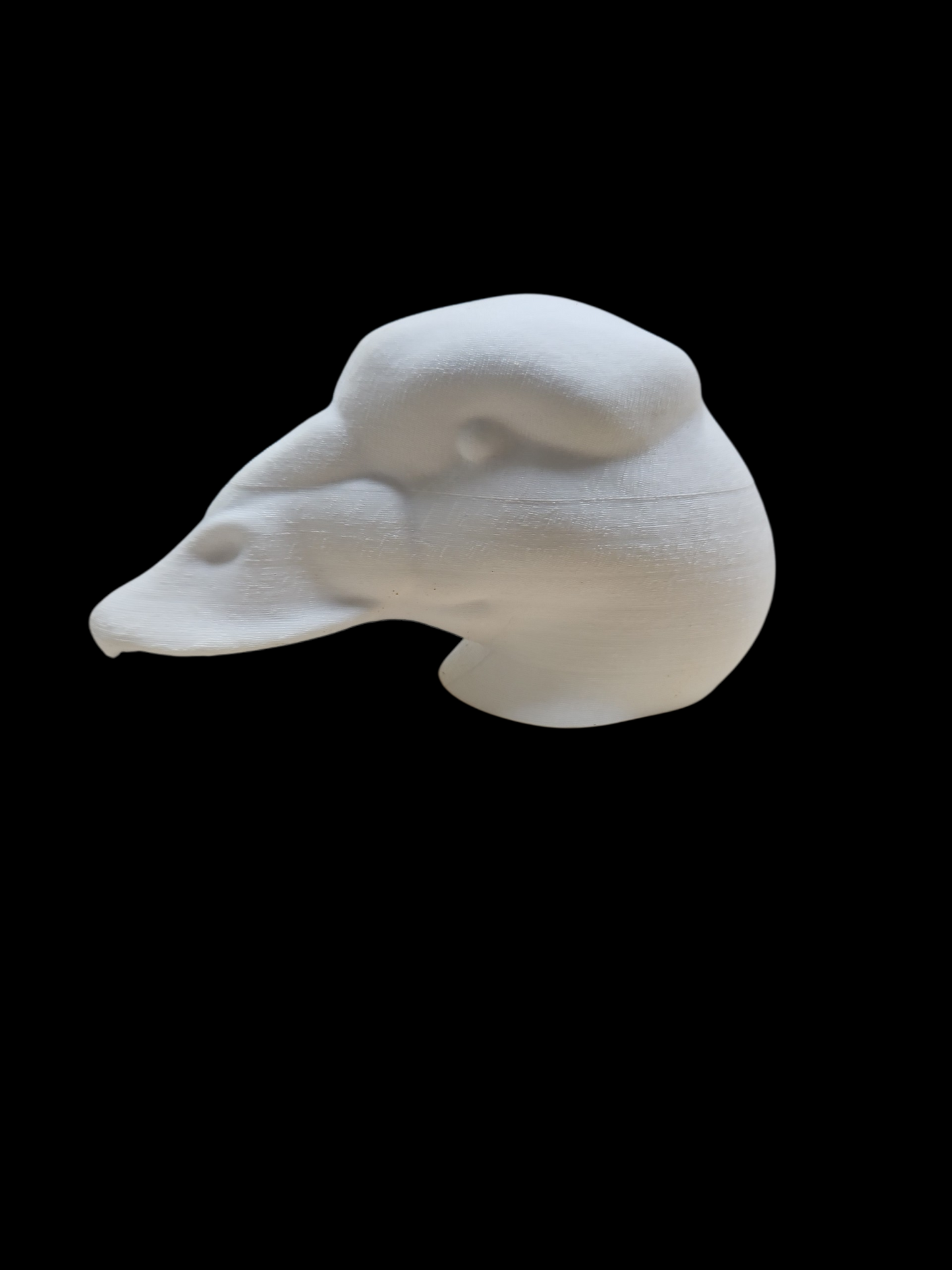 SURF SCOTER DECOY HEAD