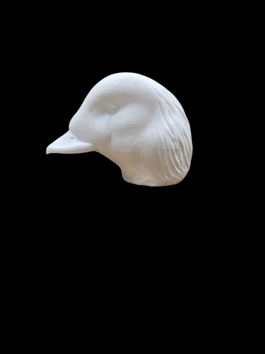 LARGE EIDER DECOY HEAD