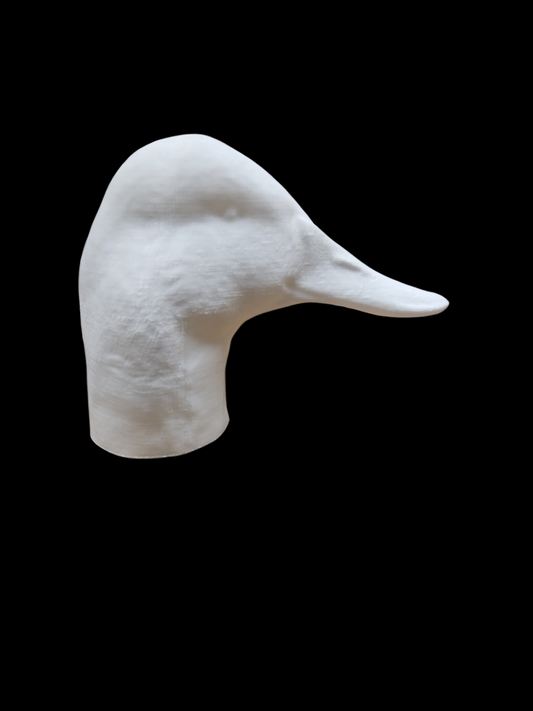 CANVASBACK HEAD HIGH