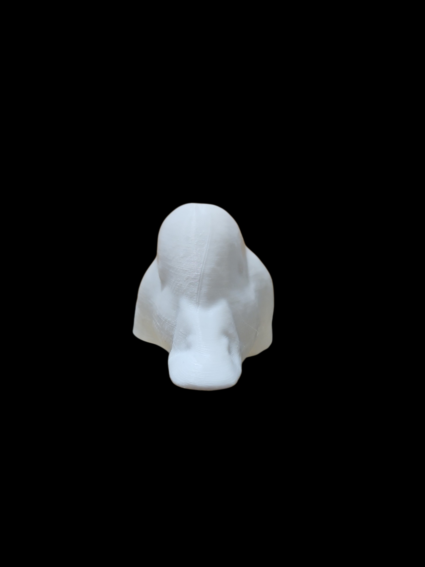 SLEEPER MALLARD DECOY HEAD