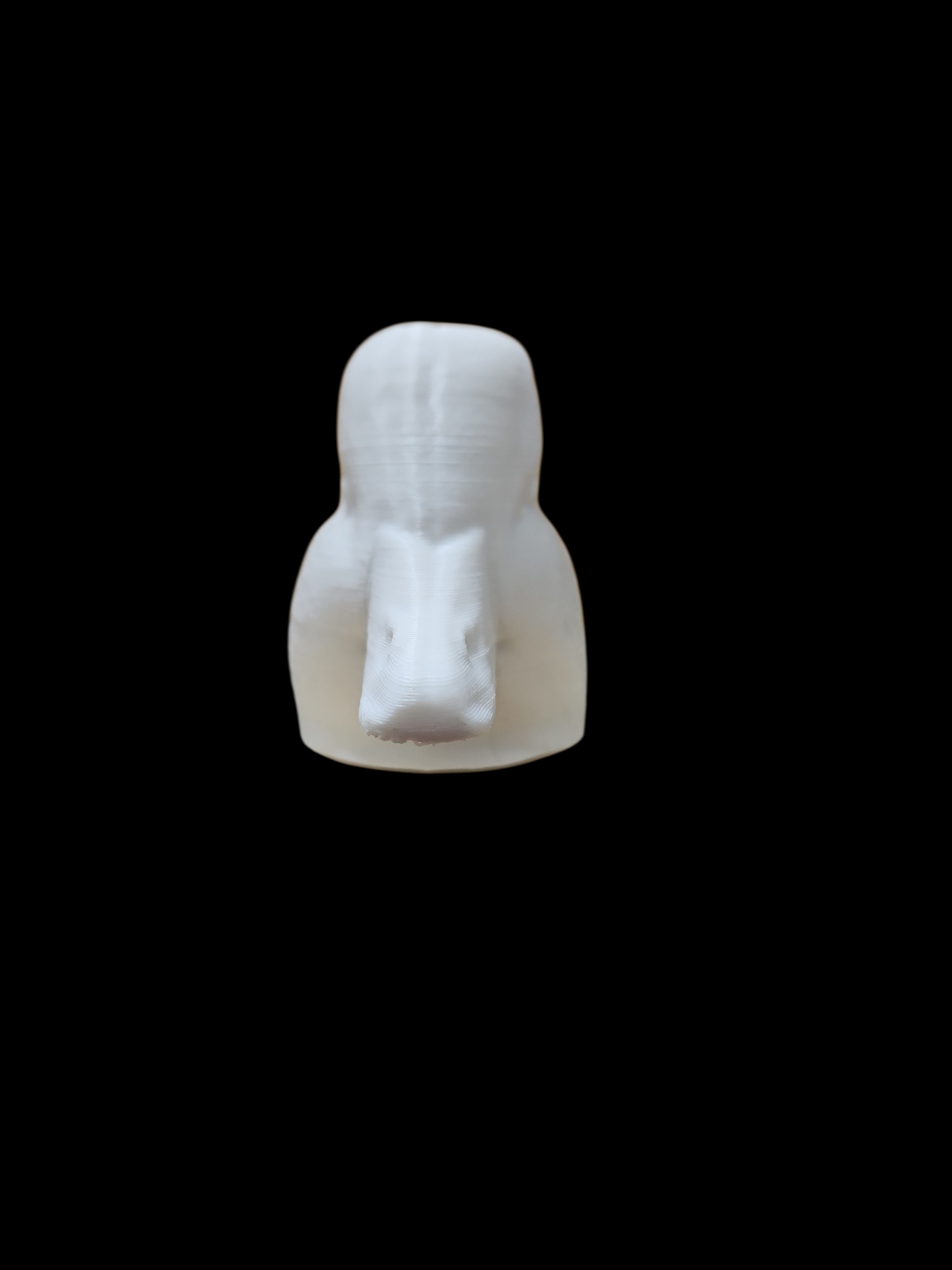 GOLDENEYE DECOY HEAD