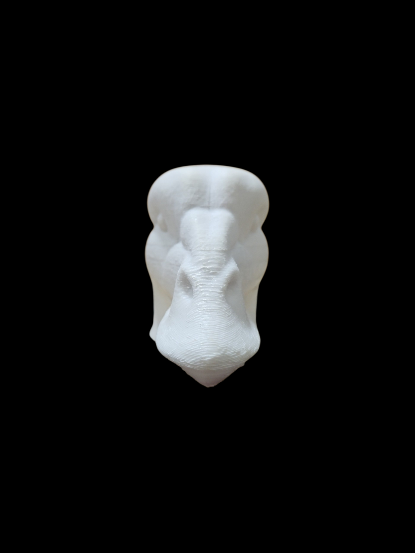LARGE SURF SCOTER DECOY HEAD