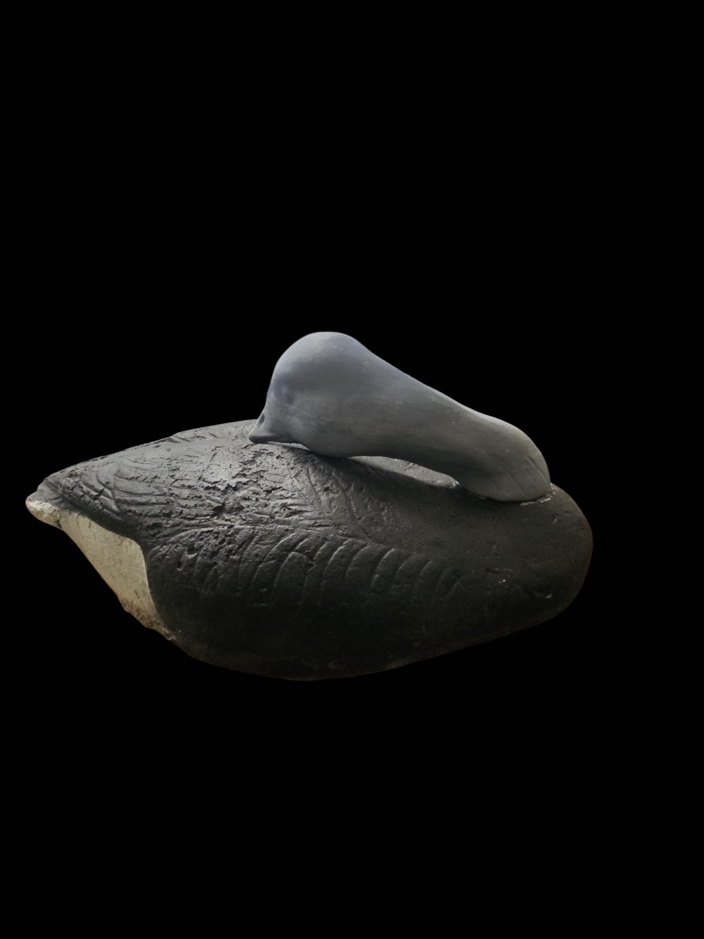 SIZE 81 BRANT FEEDER/ SLEEPER HEAD