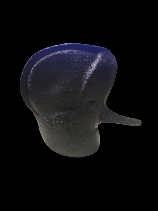 72 SIZED HOODED MERGANZER HEAD