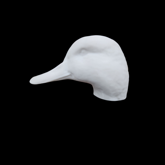 mallard head low 72 sized