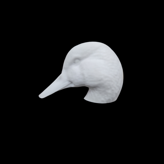 mallard head forward 72 sized,