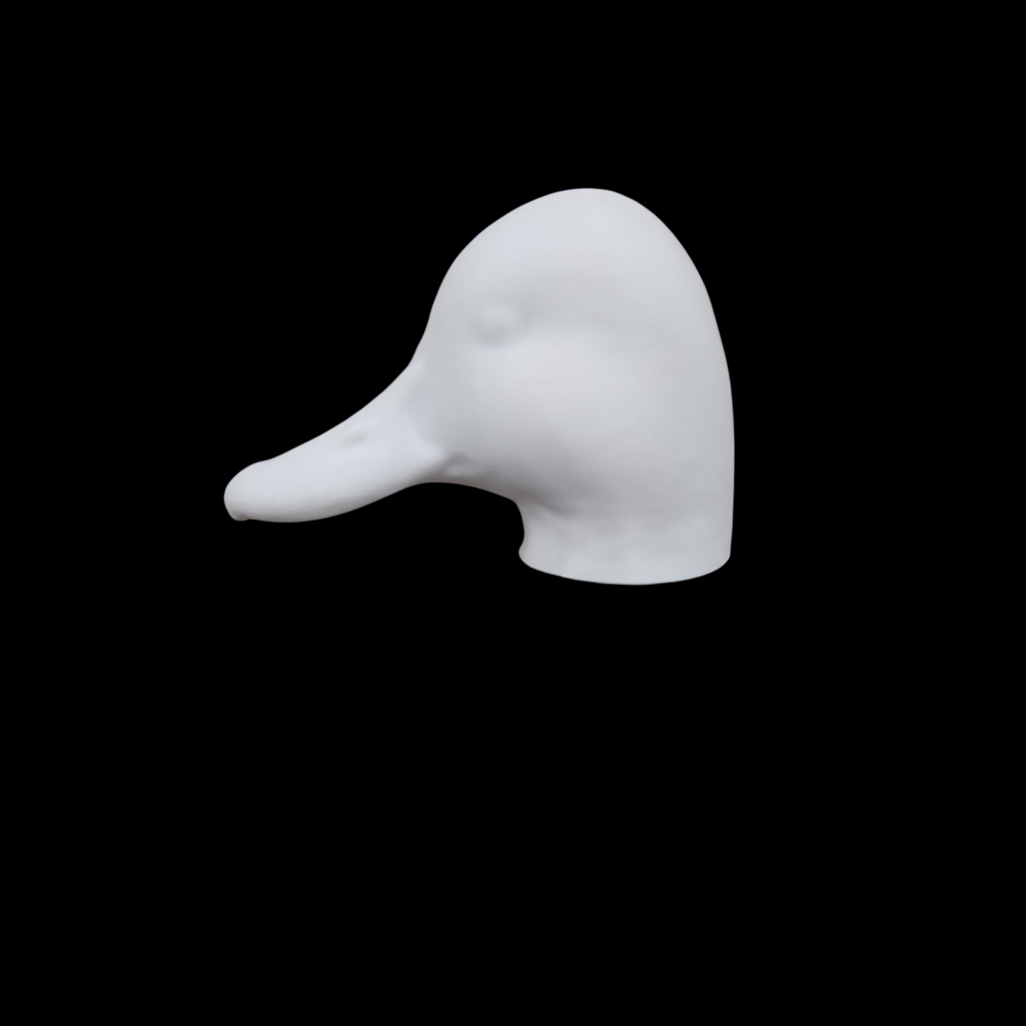 Scaup head low resting 63 SIZED