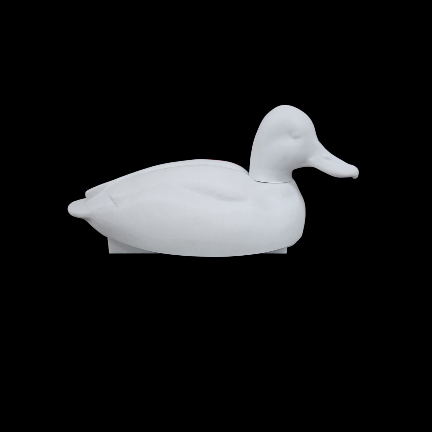 Scaup head low resting 63 SIZED