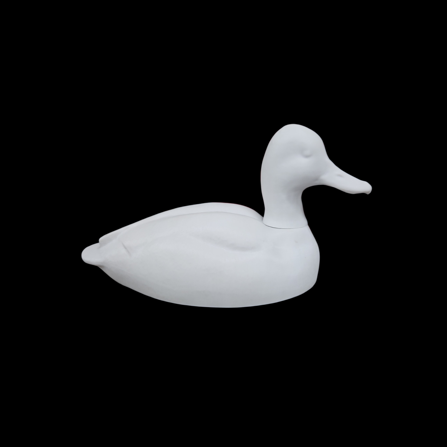 scaup high head 63 sized